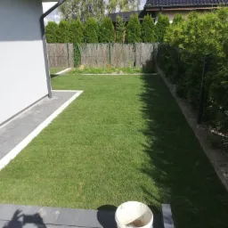 Widok na świeżo założony trawnik przylegający do nowoczesnego domu z szarą kostką brukową, w tle siatkowe ogrodzenie obsadzone tujami i częściowo zasłonięte matą, w rogu widoczne wiadro.