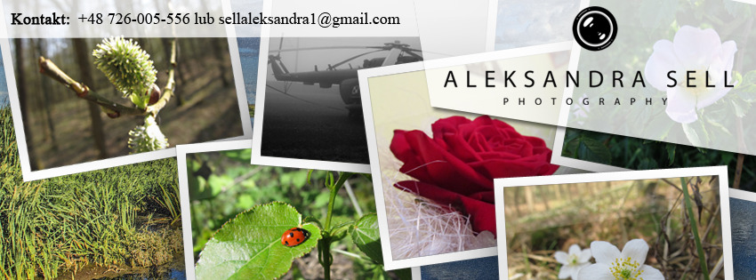 Kolaż zdjęć przyrodniczych, w tym pąki wierzby, trawa, biedronka na liściu, czerwona róża, białe kwiaty leśne oraz helikopter w tle, z widocznym logo i danymi kontaktowymi fotografa Aleksandry Sell.