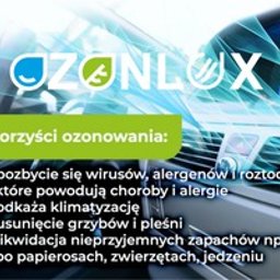 Dezynsekcja i deratyzacja Wałbrzych 3