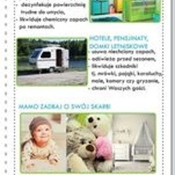 Dezynsekcja i deratyzacja Wałbrzych 4