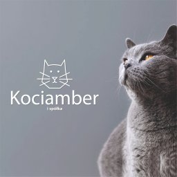 projekt logo dla Kociamber i spółka