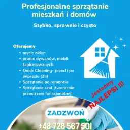 Reklama firmy sprzątającej: logo, oferta usług (mycie okien, pranie dywan&oacute;w, sprzątanie po remoncie), numer telefonu oraz dłoń w niebieskiej rękawicy czyszcząca powierzchnię r&oacute;żową ściereczką.