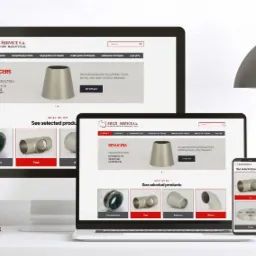 Strona internetowa dla firmy Multiservice.