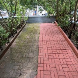 Pozamiatane - Częściowo wyczyszczona czerwona kostka brukowa, po lewej brudna, po prawej czysta, otoczona zielenią. Widoczny efekt czyszczenia kostki brukowej.