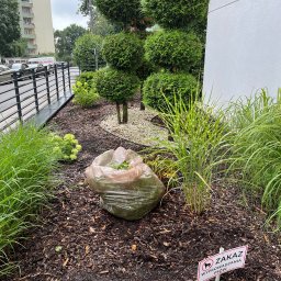 Pozamiatane - Worek z odpadami roślinnymi na rabacie z korą, obok tabliczka zakazująca wyprowadzania psów. W tle formowane krzewy i budynek mieszkalny.