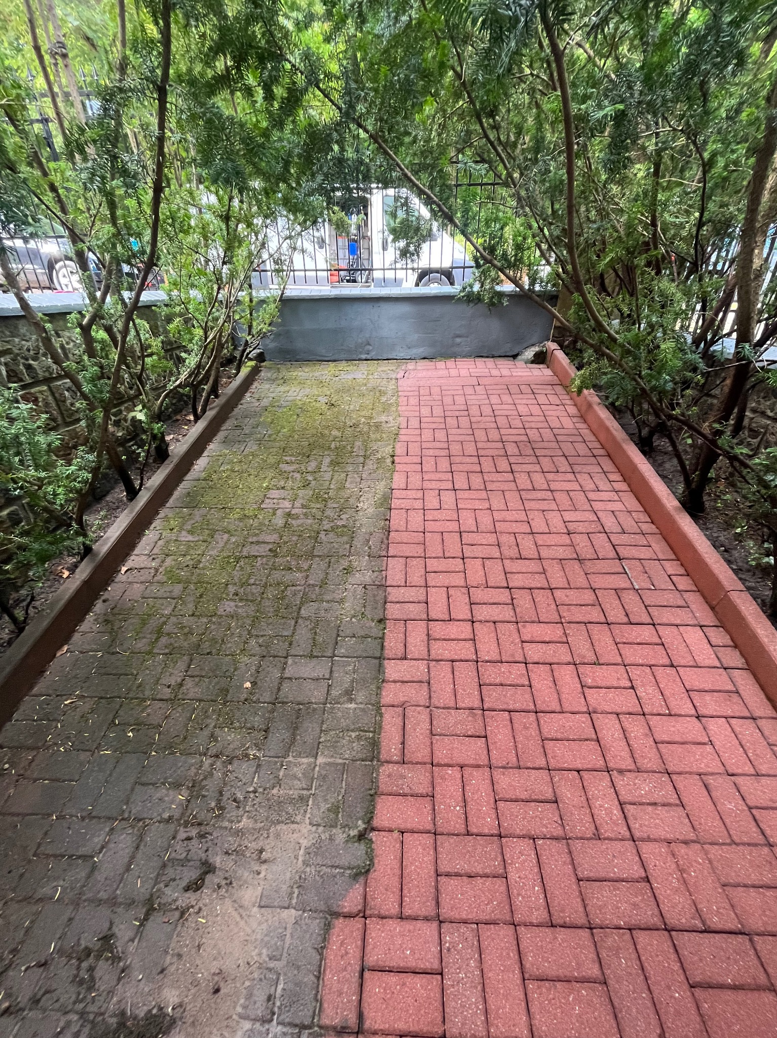 Częściowo wyczyszczona czerwona kostka brukowa, po lewej brudna, po prawej czysta, otoczona zielenią. Widoczny efekt czyszczenia kostki brukowej.