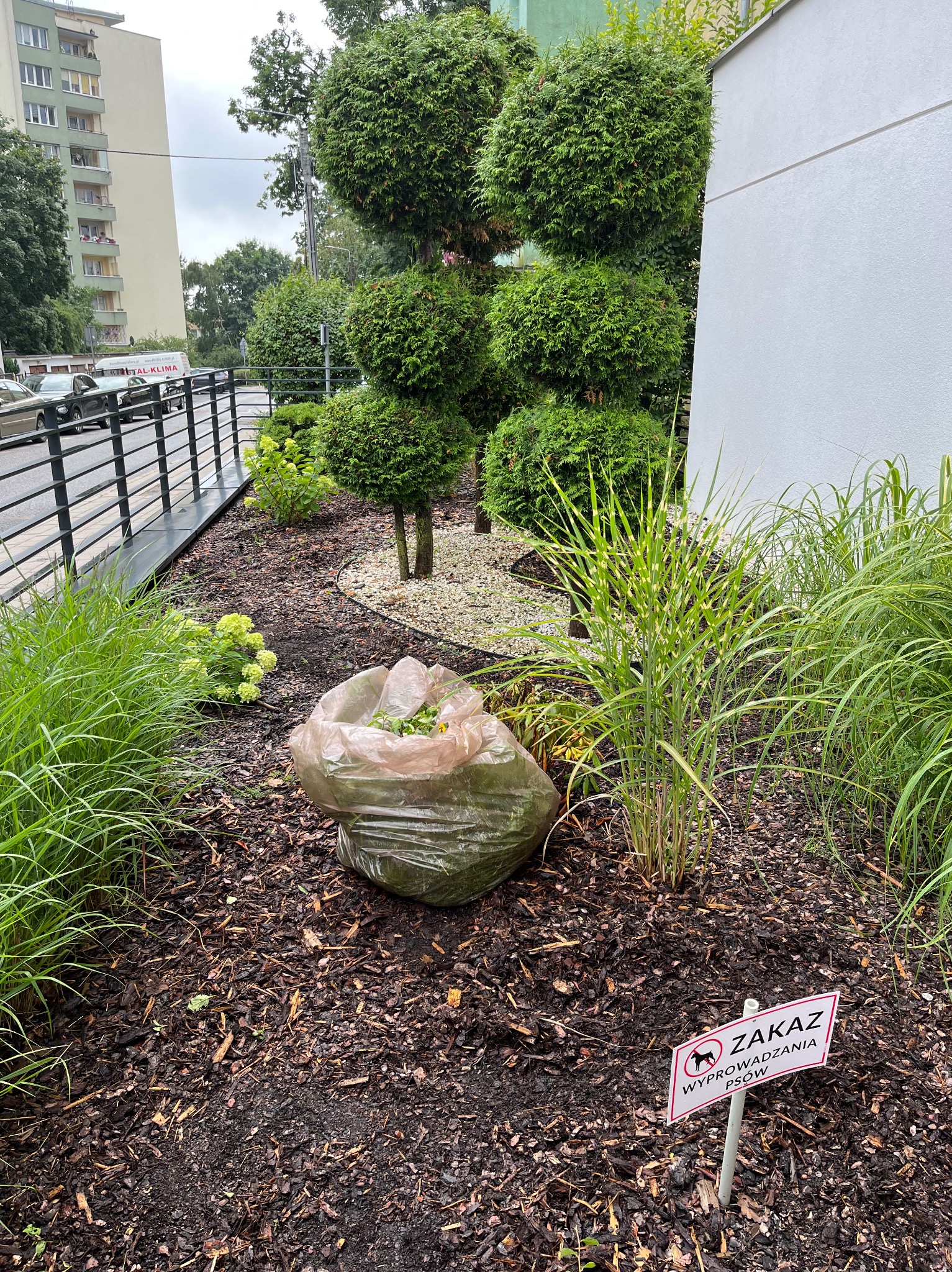 Worek z odpadami roślinnymi na rabacie z korą, obok tabliczka zakazująca wyprowadzania psów. W tle formowane krzewy i budynek mieszkalny.