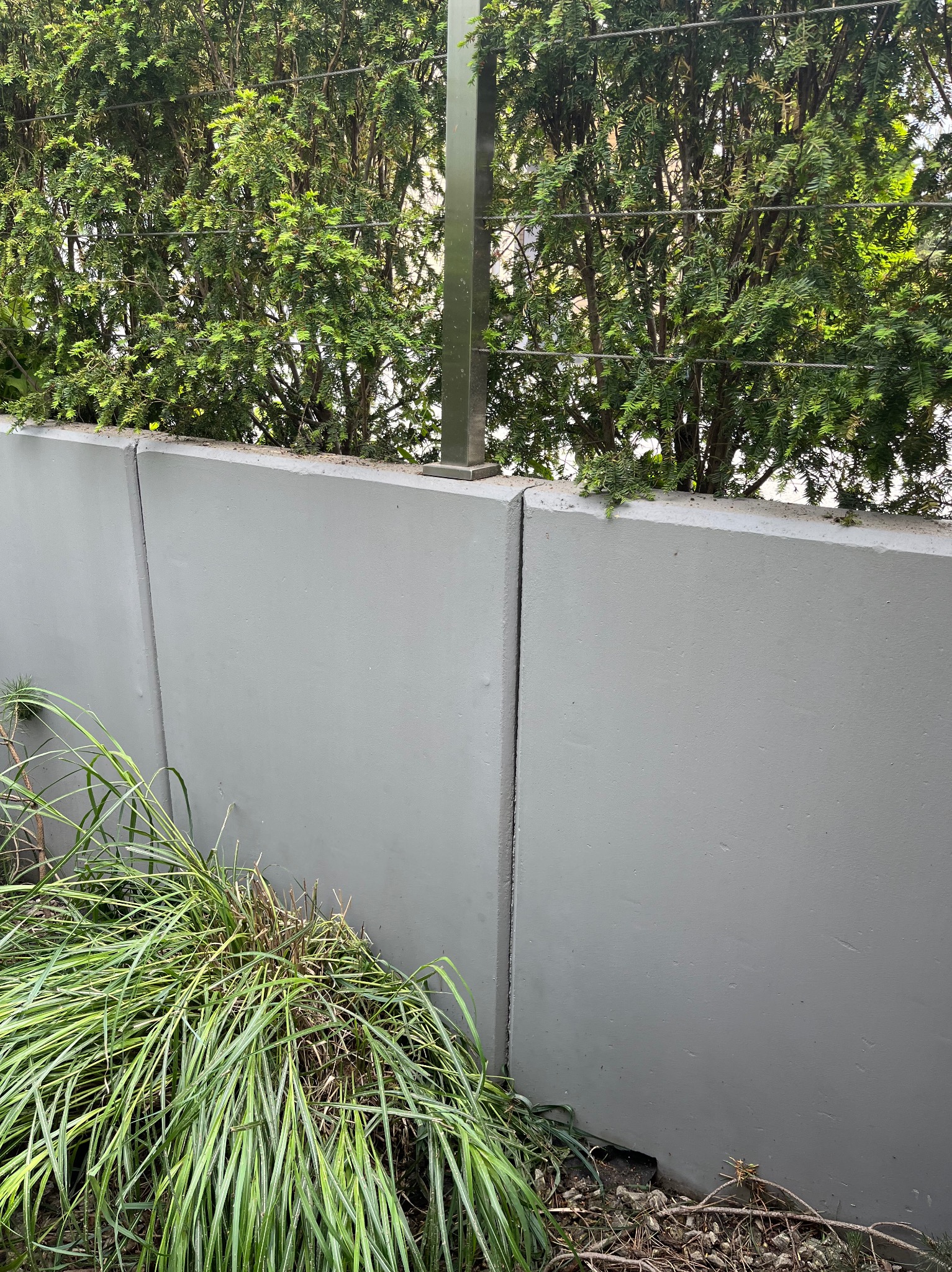 Szary mur oporowy z roślinnością na górze i u podstawy. Widoczne trawy ozdobne i iglaki. Metalowy słupek w tle. Ujęcie z dołu, podkreślające strukturę muru.