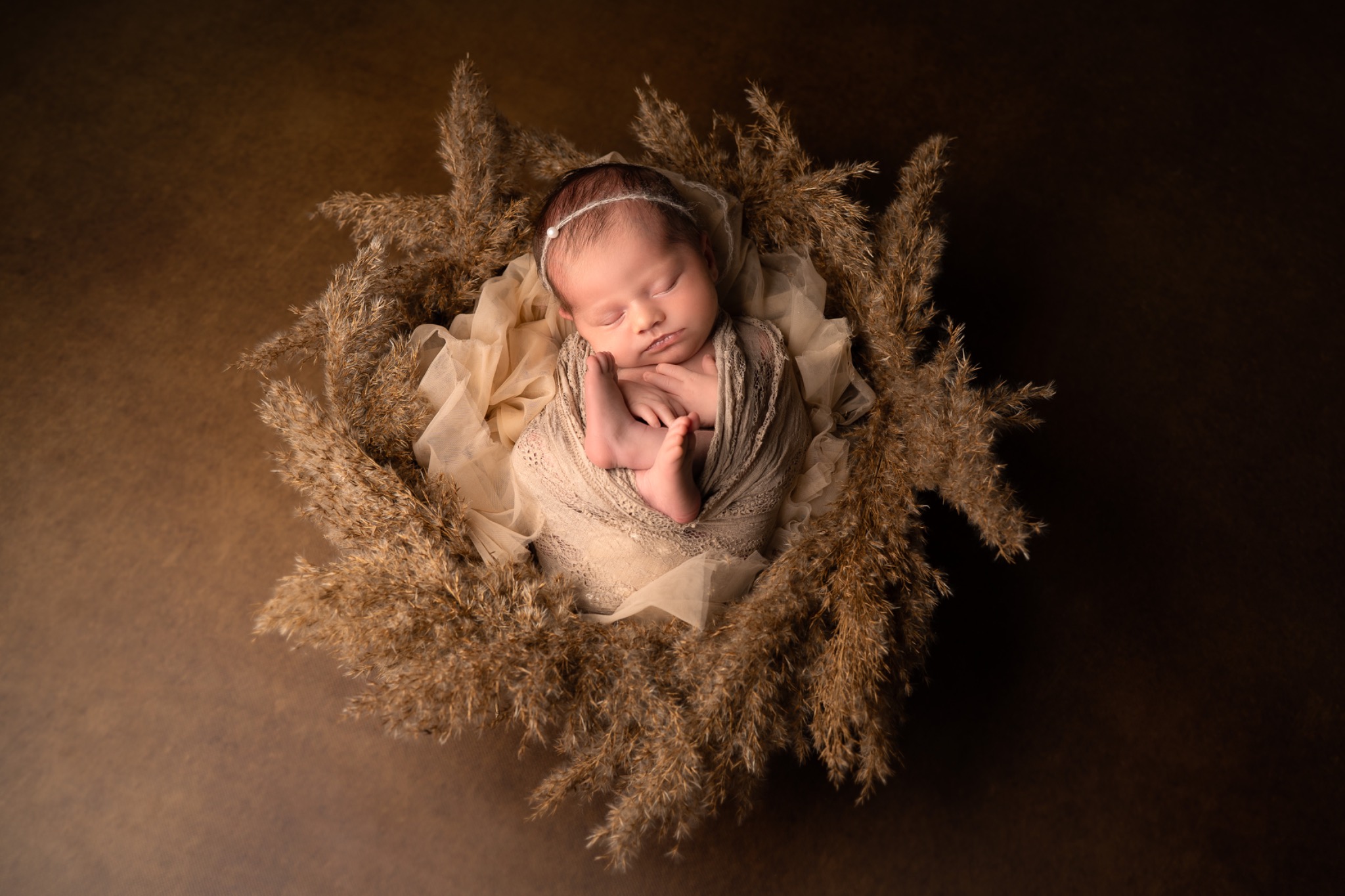 Śpiący noworodek owinięty w beżową koronkową tkaninę, ułożony w gnieździe z suszonych traw na brązowym tle.