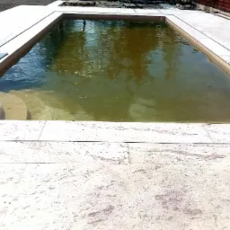 Prostokątny basen z kamienną obudową i schodkami wejściowymi, woda w basenie odbija drzewa, jasne kamienne płyty wokół basenu.