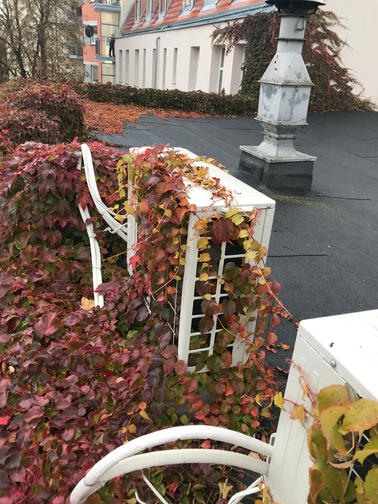 Częstym problemem awarii klimatyzatorów są uszkodzenia mechaniczne spowodowane przez rośliny.