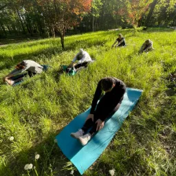 Grupa osób ćwiczy rozciąganie na matach w parku, widoczne drzewa i trawa, słoneczny dzień.