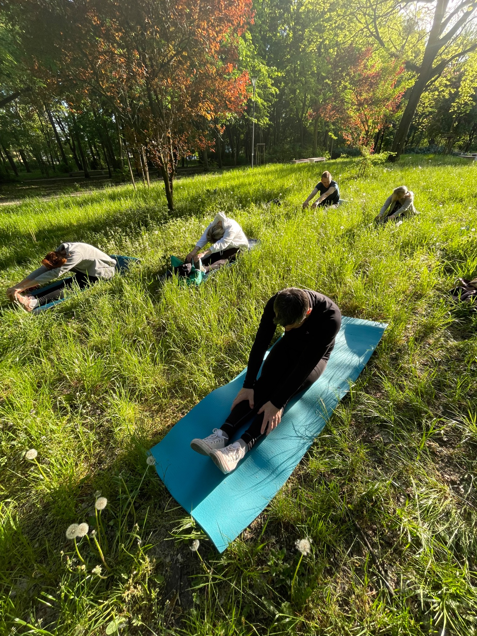 Grupa osób ćwiczy rozciąganie na matach w parku, widoczne drzewa i trawa, słoneczny dzień.