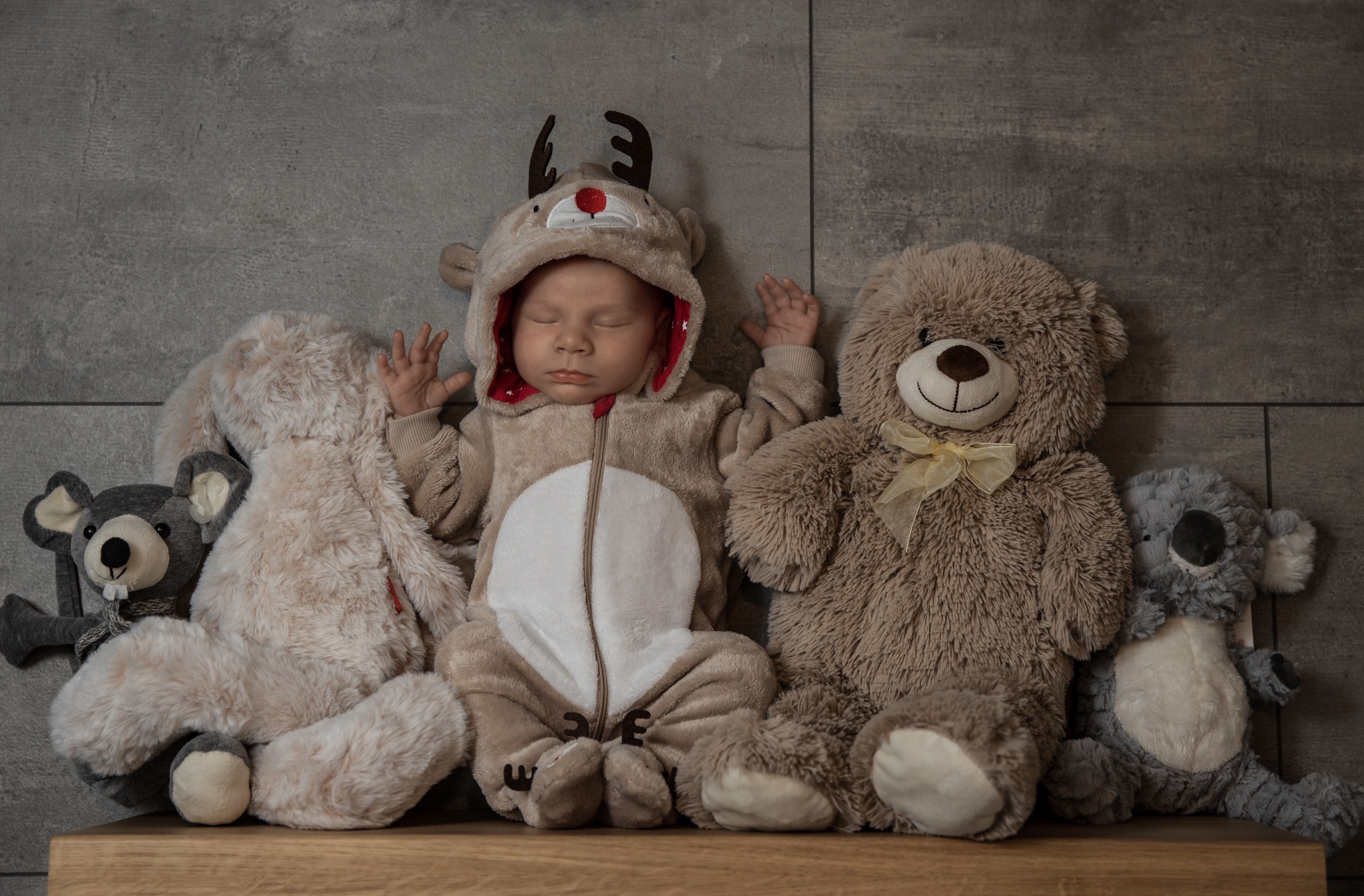 Śpiący noworodek w kostiumie renifera otoczony pluszowymi zabawkami: królik, miś z kokardką i koala, na drewnianej półce przed szarą ścianą.