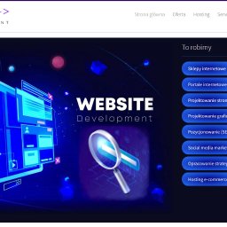 Tworzenie sklepów i stron internetowych.