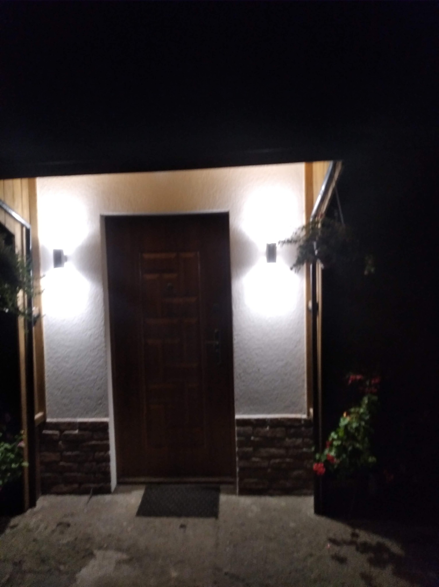 Wejście do domu z drewnianymi elementami, oświetlone dwoma lampami ściennymi, z dekoracyjną okładziną z imitacji kamienia u dołu ściany i kwiatami w donicach po bokach.