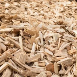 Jasne, nieregularne zrębki drzewne ułożone w dużą stertę, z widoczną strukturą drewna i drobnymi fragmentami kory.