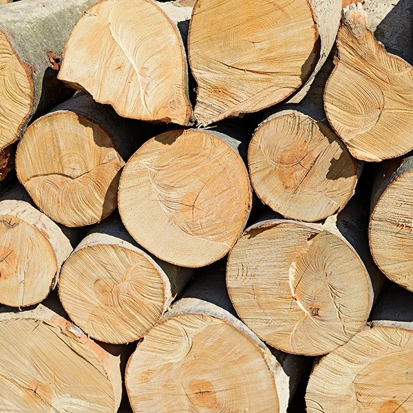 Stos pociętych kloców drewna ułożonych jeden na drugim, widoczne słoje i pęknięcia drewna.