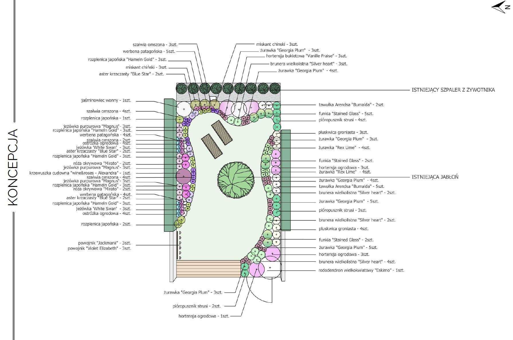 Plan ogrodu z zaznaczonymi gatunkami roślin, rozmieszczeniem rabat, ścieżek i elementów małej architektury, takich jak ławki.