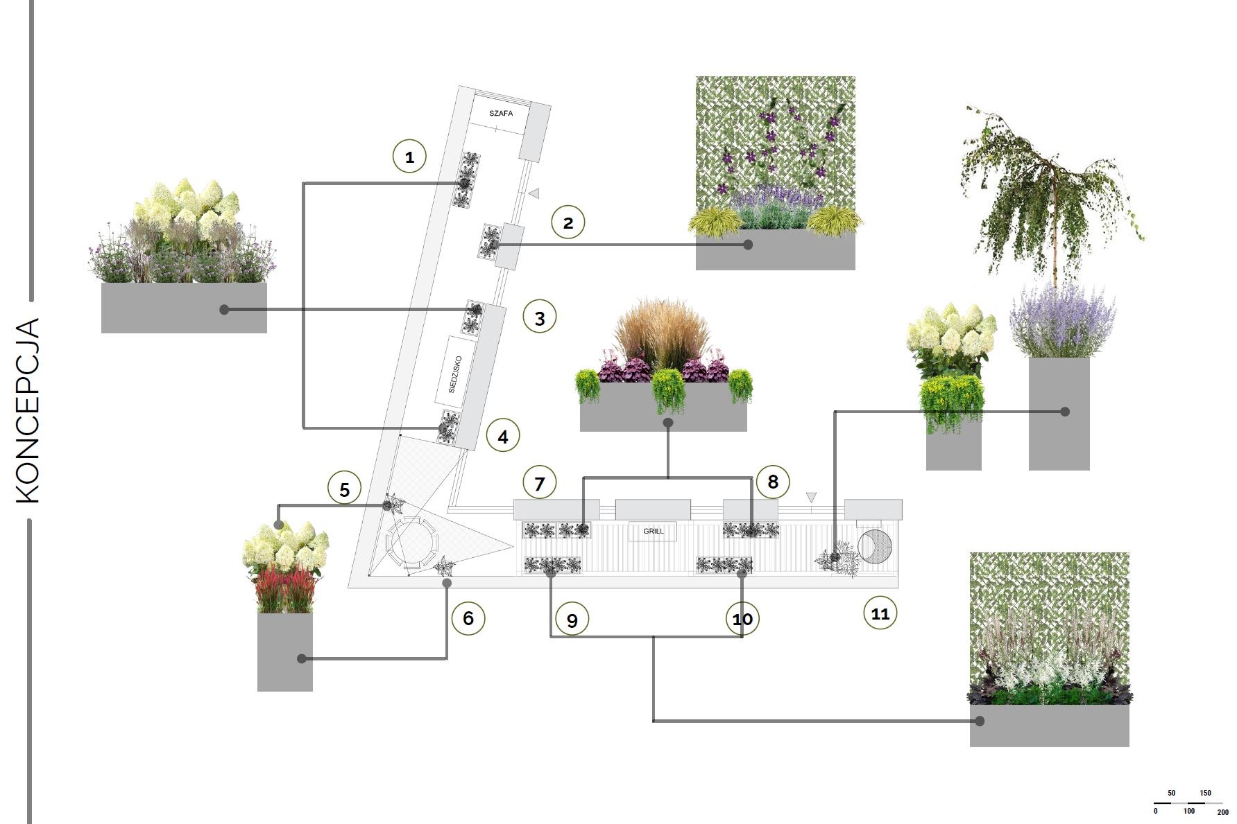 Plan ogrodu z rozmieszczeniem roślin w donicach, z numeracją poszczególnych elementów, widok z góry.