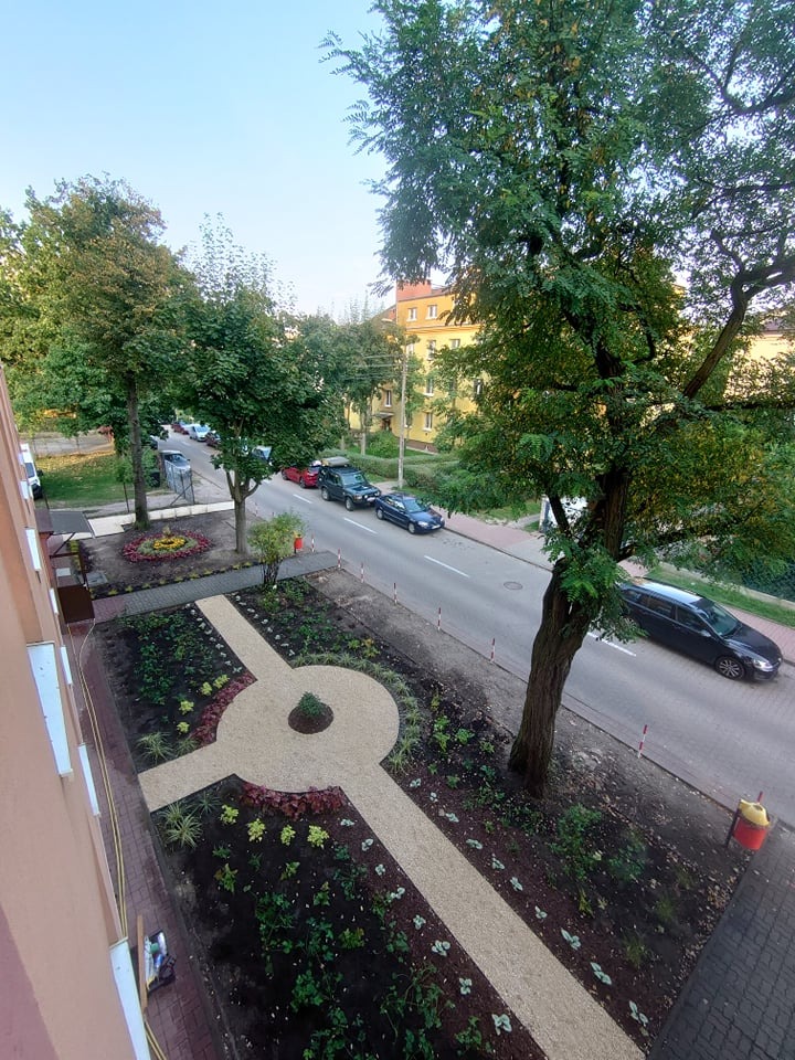 Widok z góry na nowo zaprojektowany pas zieleni przy ulicy z geometrycznymi ścieżkami wysypanymi żwirem i świeżo posadzoną roślinnością, w tle ulica z samochodami i budynki.