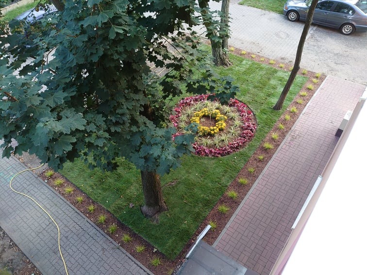 Widok z góry na zagospodarowany teren zielony z okrągłym klombem kwiatowym, drzewami i świeżo posianą trawą, otoczony kostką brukową i budynkiem.
