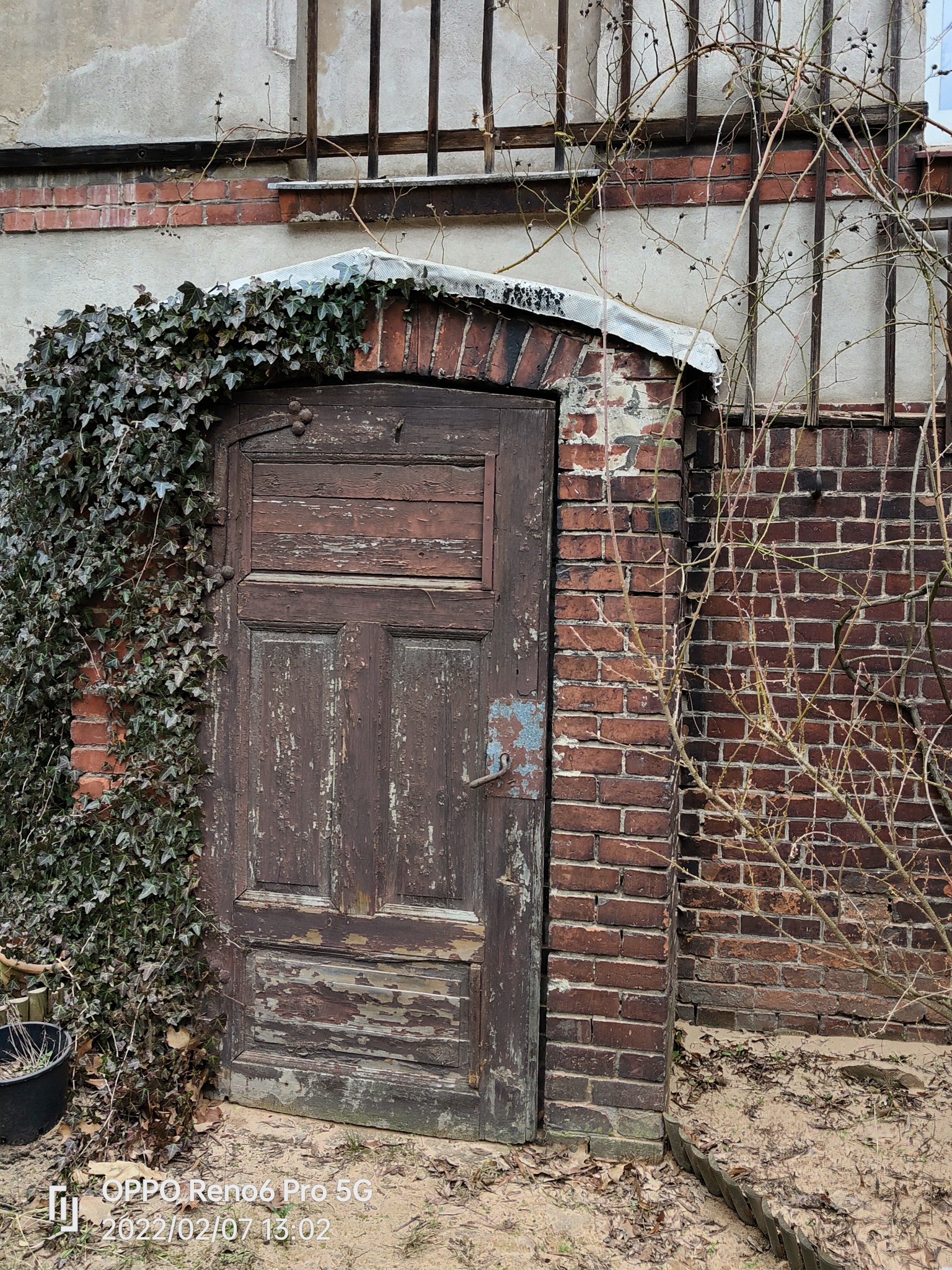 Stara, drewniana brama wejściowa z łukowatym nadprożem z czerwonej cegły, częściowo porośnięta bluszczem, z widocznymi śladami łuszczącej się farby i upływu czasu.