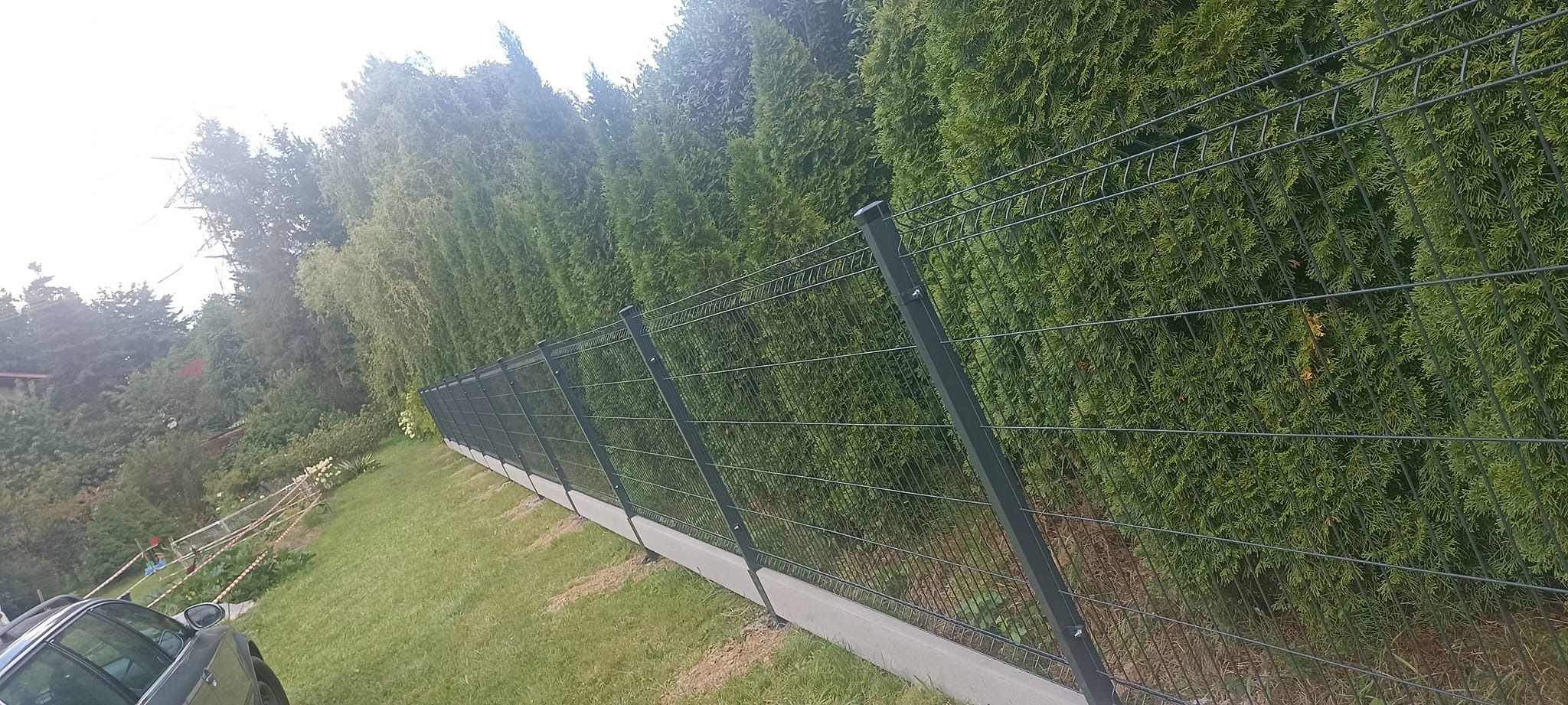 Nowoczesne, ciemnoszare ogrodzenie z paneli siatkowych na betonowej podmurówce, otoczone gęstymi tujami, widok z perspektywy lekko z dołu.