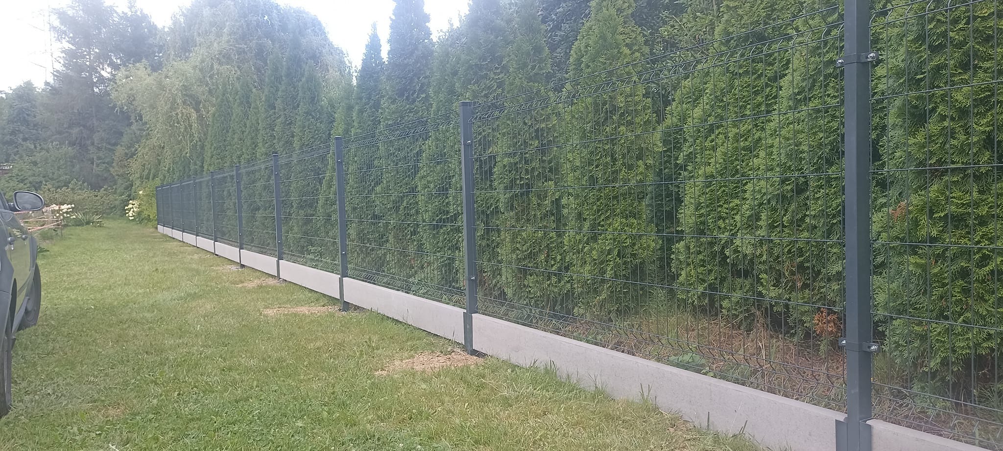Długi, szary system ogrodzeniowy z paneli z betonową podmurówką, otoczony wysokimi tujami, widoczny fragment zaparkowanego samochodu po lewej stronie.