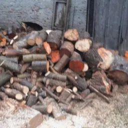 Posprzątam drzewa po wichurach lub z działki i nie tylko