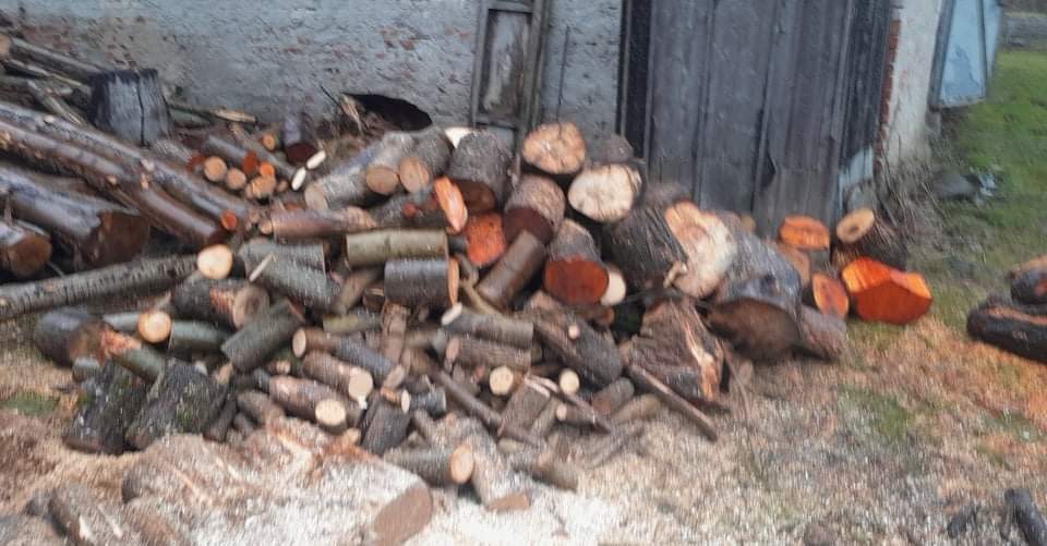 Posprzątam drzewa po wichurach lub z działki i nie tylko