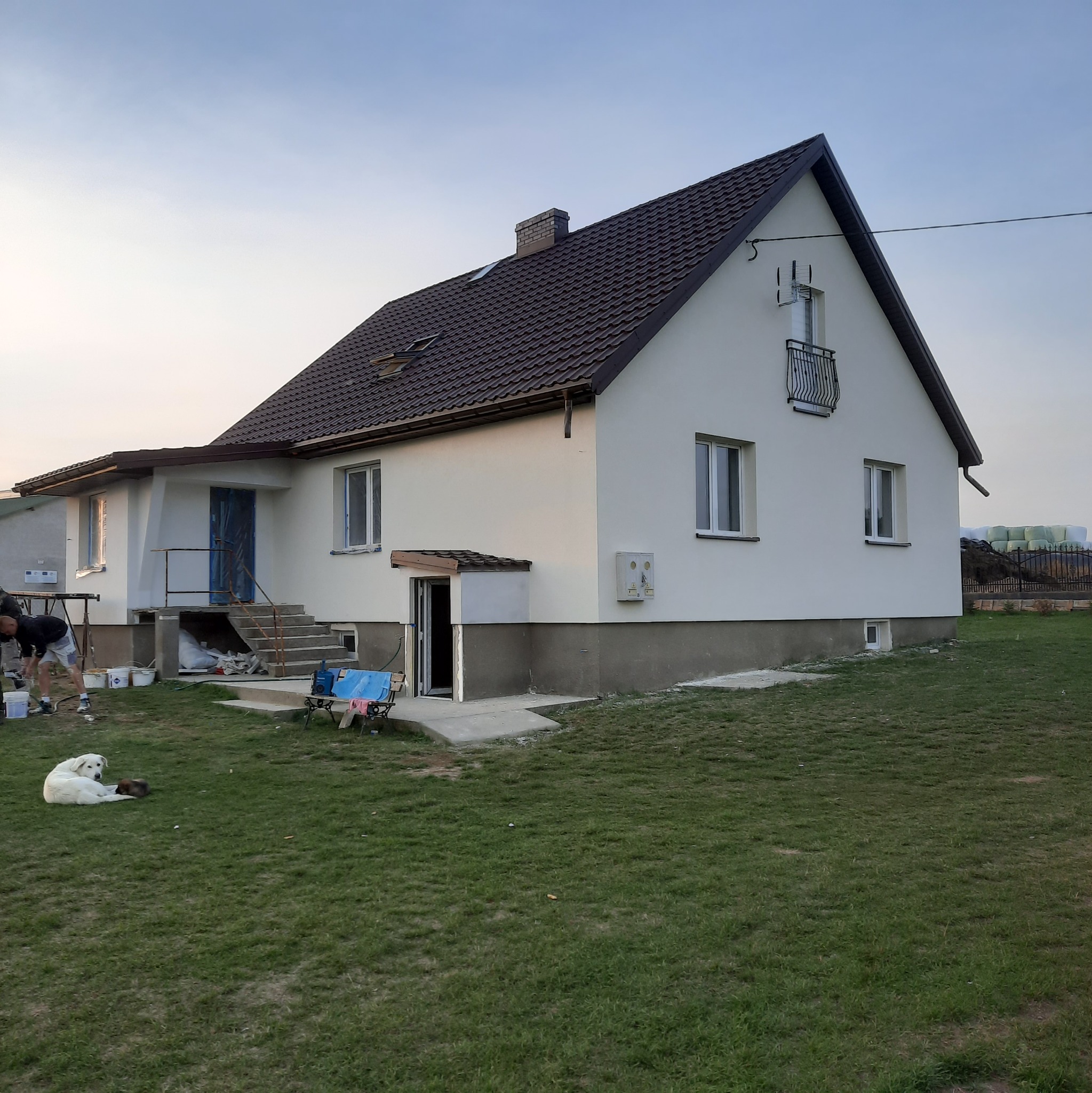 Dom jednorodzinny po nałożeniu jasnego tynku elewacyjnego, widoczne wiadra z farbą, pracownik w trakcie malowania i leżący pies na trawniku.