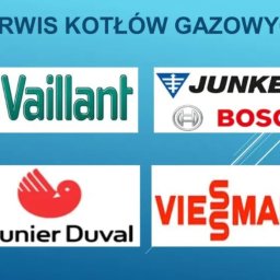 Instalacje grzewcze Daszewice 1