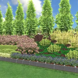 Projekt nasadzeń na skarpie w stylu naturalistycznym.