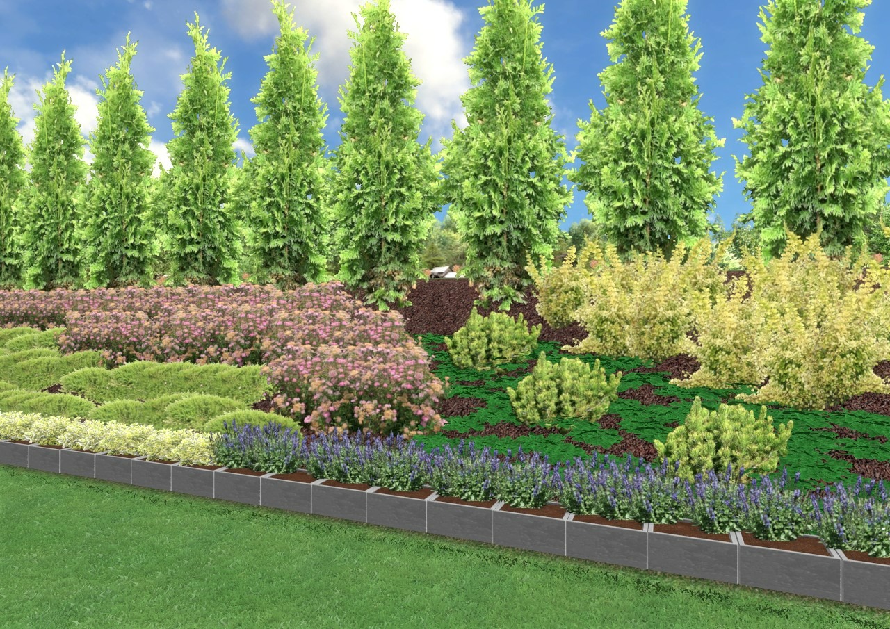 Projekt nasadzeń na skarpie w stylu naturalistycznym.