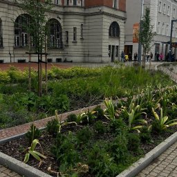 OK Projekt Jakub Okularczyk - Kwadratowa rabata z różnorodną roślinnością na tle miejskiego placu z torami tramwajowymi i budynkami. Widoczne drzewa i krzewy w kompozycji.