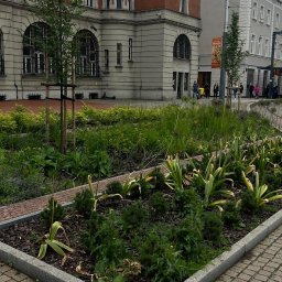 Pielęgnacja ogrodów Chorzów 1