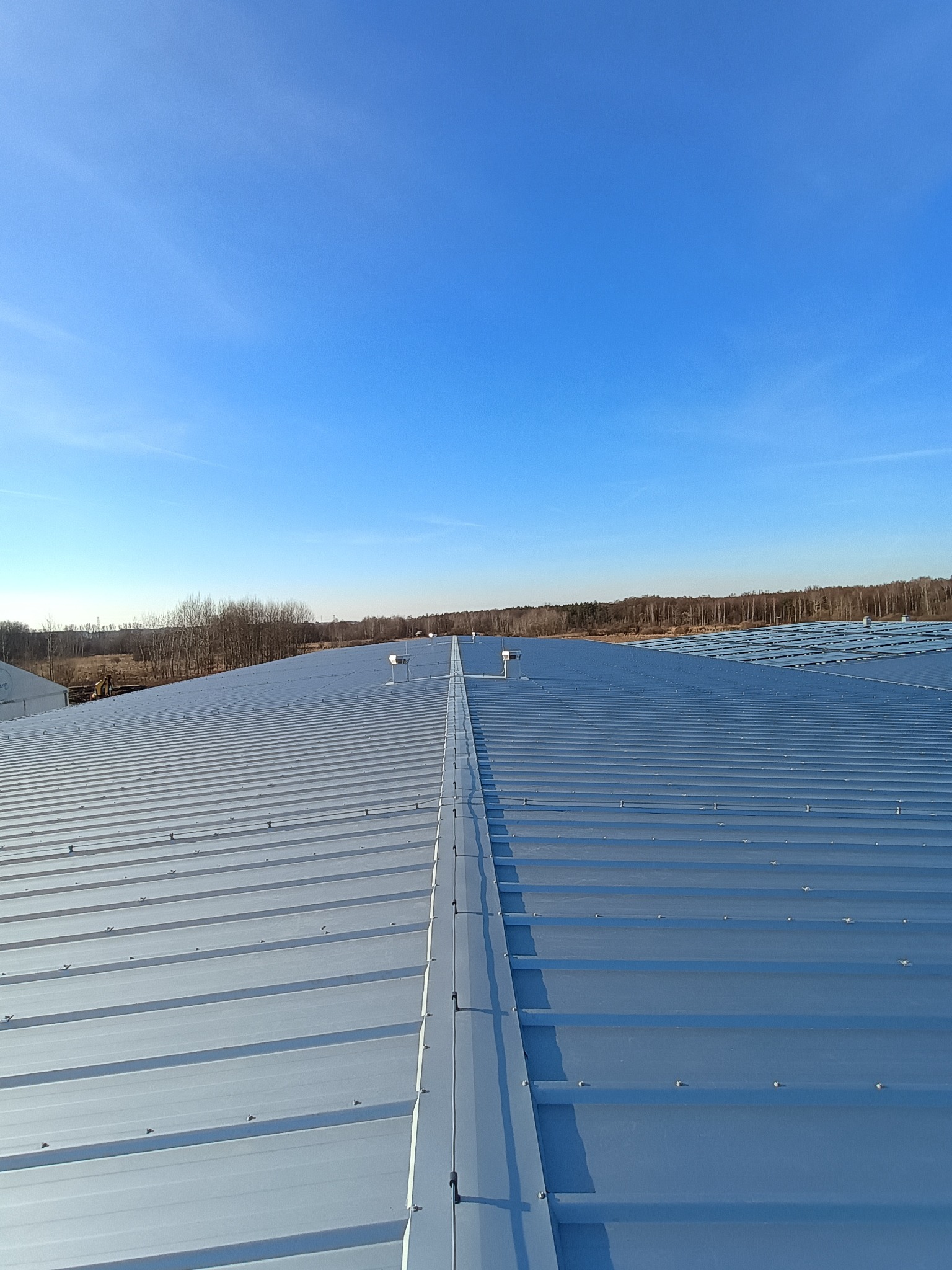 Szeroki, blaszany dach hali przemysłowej, widok z góry na regularne, srebrzyste panele i łączenia, w tle pas drzew na horyzoncie i błękitne niebo.