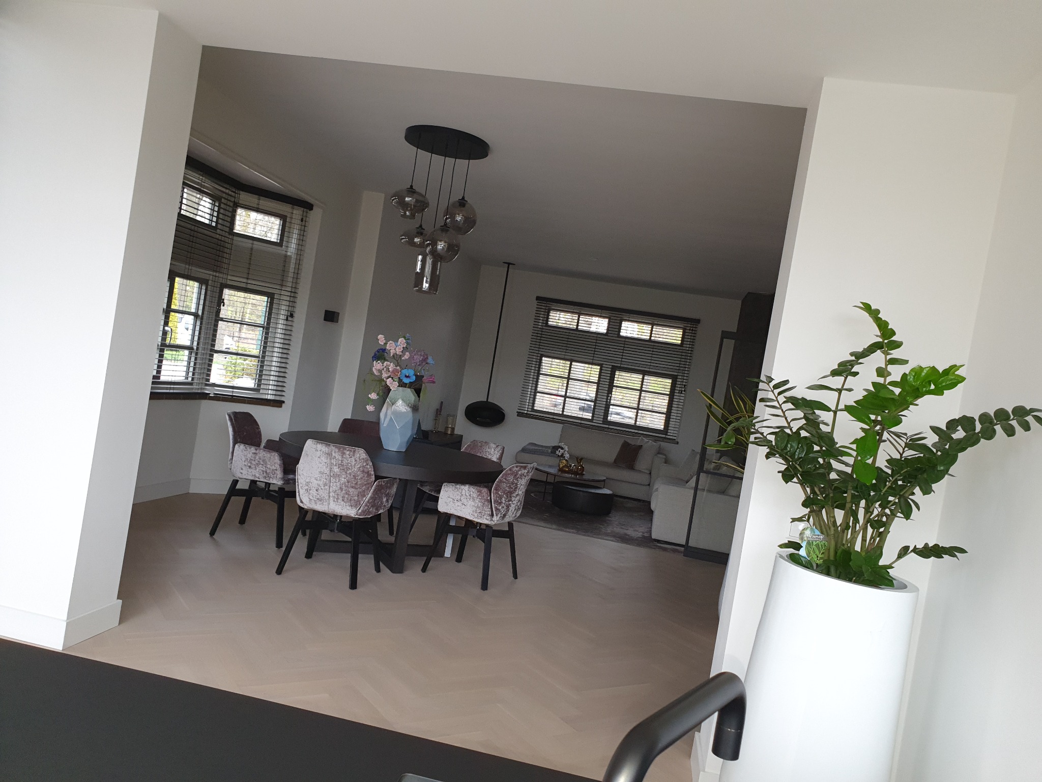 Salon z jadalnią w Zgorzelcu po kompleksowym sprzątaniu: jasna podłoga w jodełkę, okrągły stół z welurowymi krzesłami, nowoczesna lampa wisząca i duża roślina doniczkowa.