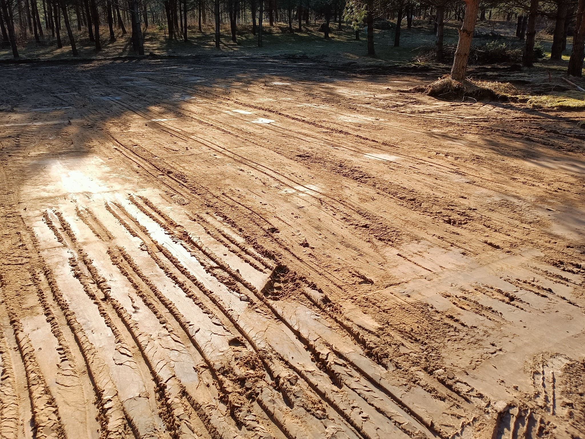 Ślady opon na piaszczystym terenie w lesie, teren przygotowany pod budowę lub utwardzenie.