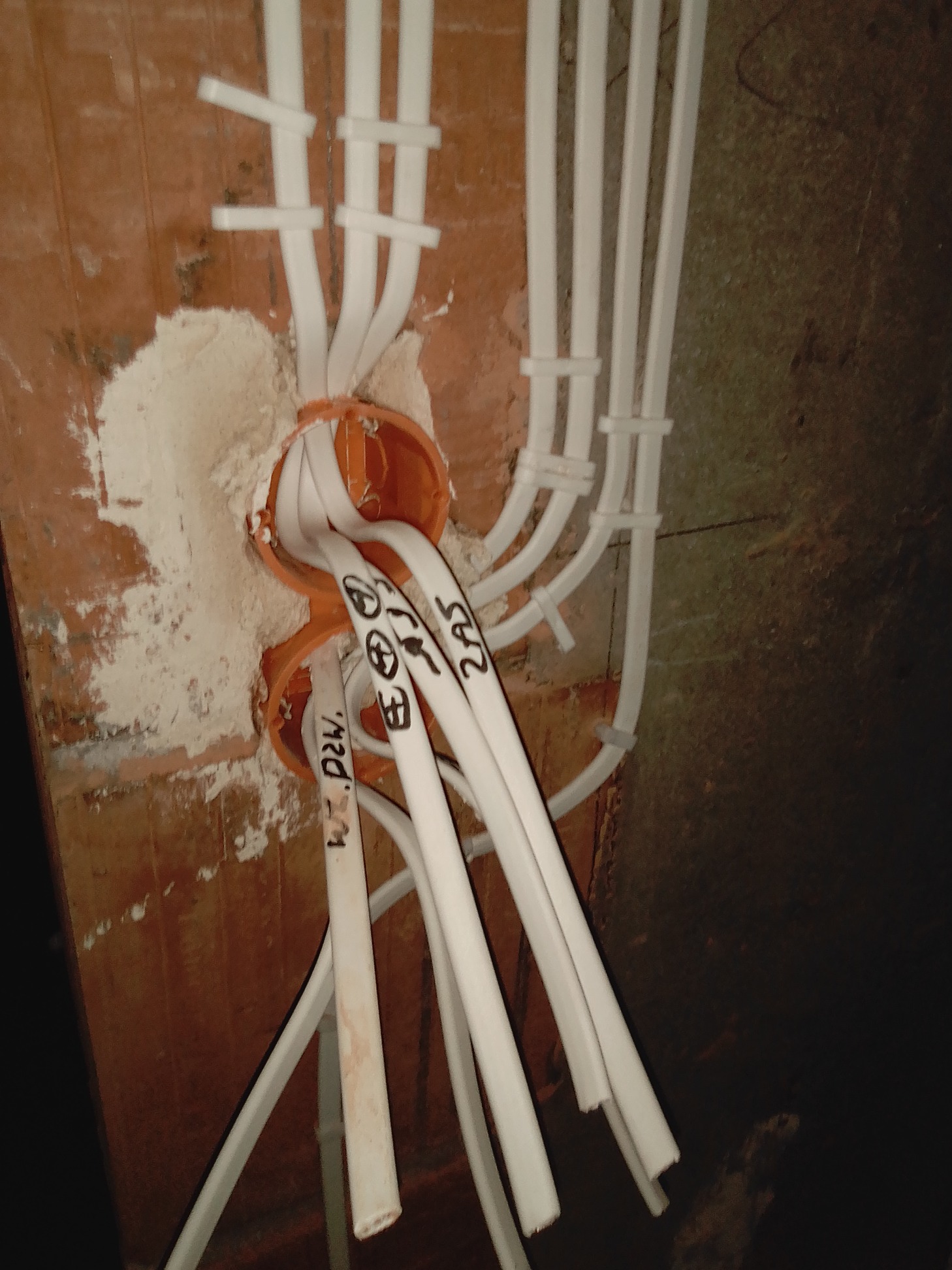 Białe kable elektryczne prowadzone w ścianie z cegły, wychodzące z pomarańczowej puszki instalacyjnej, niektóre z napisami. Widoczne mocowania kabli do ściany.