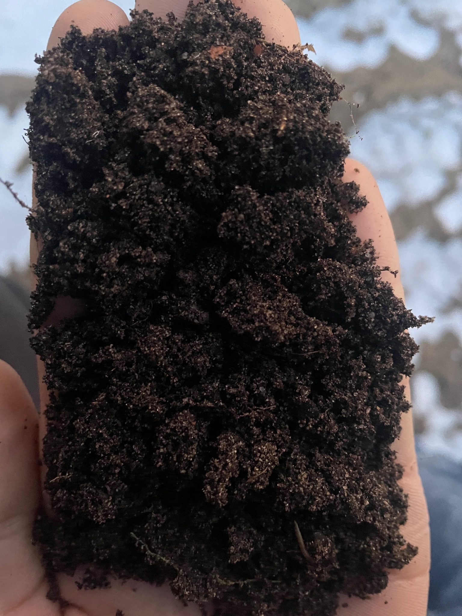 Garść żyznej, ciemnej ziemi ogrodowej w dłoni na tle rozmytego krajobrazu.