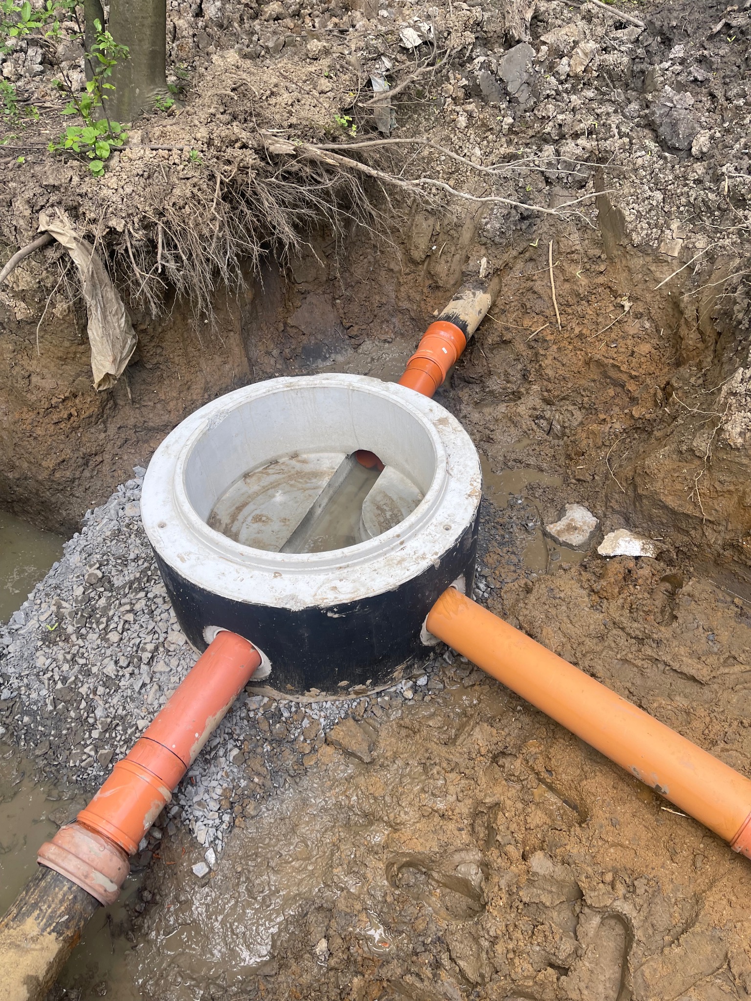 Betonowa studzienka kanalizacyjna z trzema podłączonymi pomarańczowymi rurami w wykopie ziemnym z widocznymi śladami błota i gruzu.
