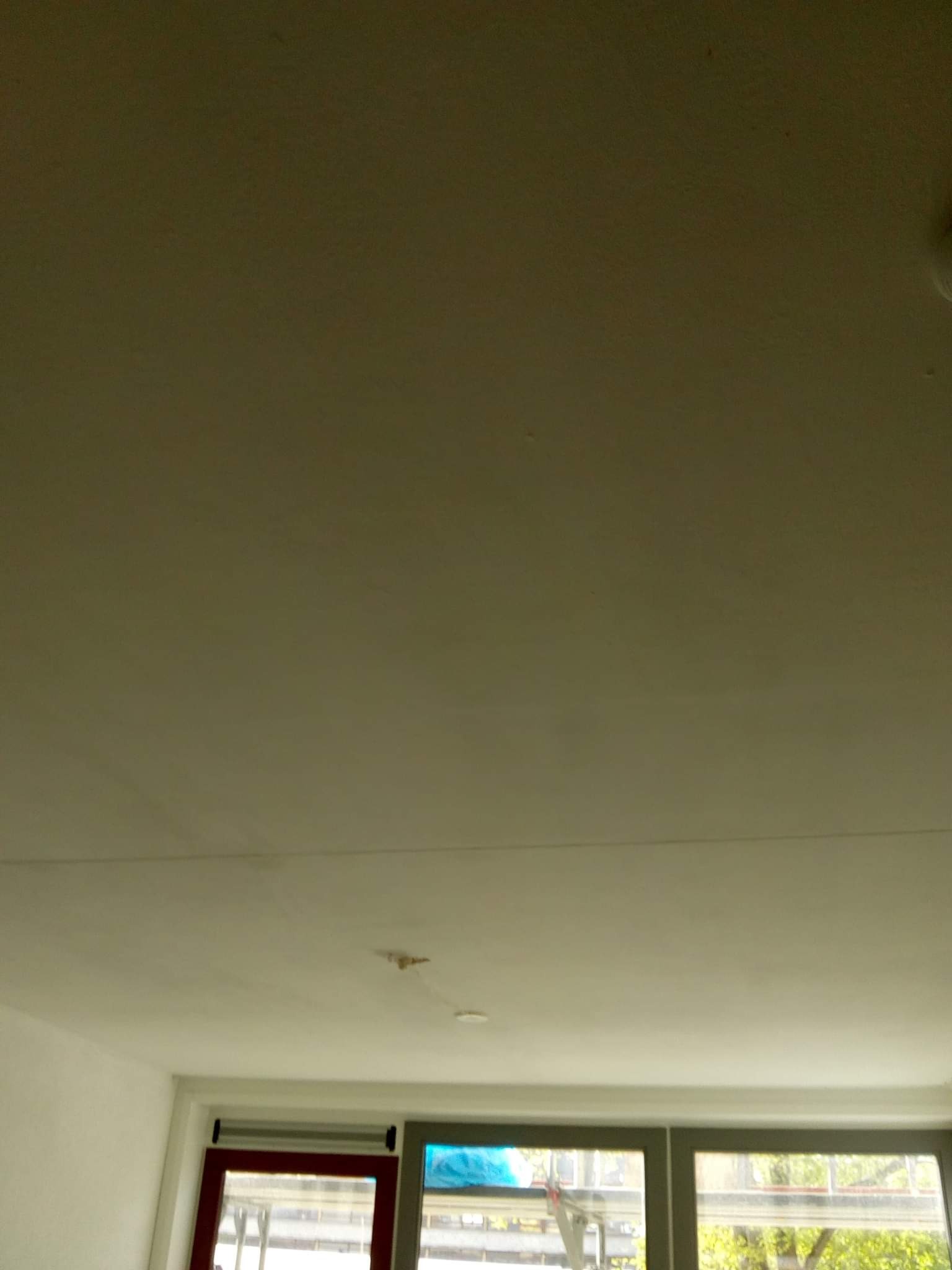 Szary sufit po niedawnym malowaniu, widoczne ślady po wałku i niedoskonałości, okno z widokiem na zieleń w tle.