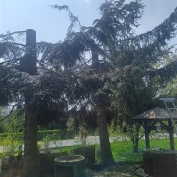 Pielęgnacja ogrodów Łętowice 4