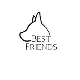 Best Friends - Webmasterzy Sosnowiec