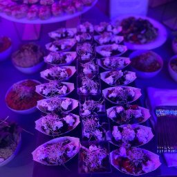 Siódemki - Stół z różnorodnymi przekąskami w małych naczyniach, w tym sałatki i tartaletki, oświetlony fioletowym światłem, tworząc elegancką prezentację.