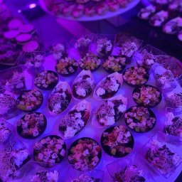 Catering świąteczny Łódź 4