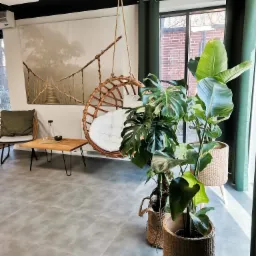 Jasne wnętrze z wiszącym fotelem rattanowym, roślinami doniczkowymi w plecionych koszach, stolikiem z wodą i grafiką mostu linowego na ścianie.