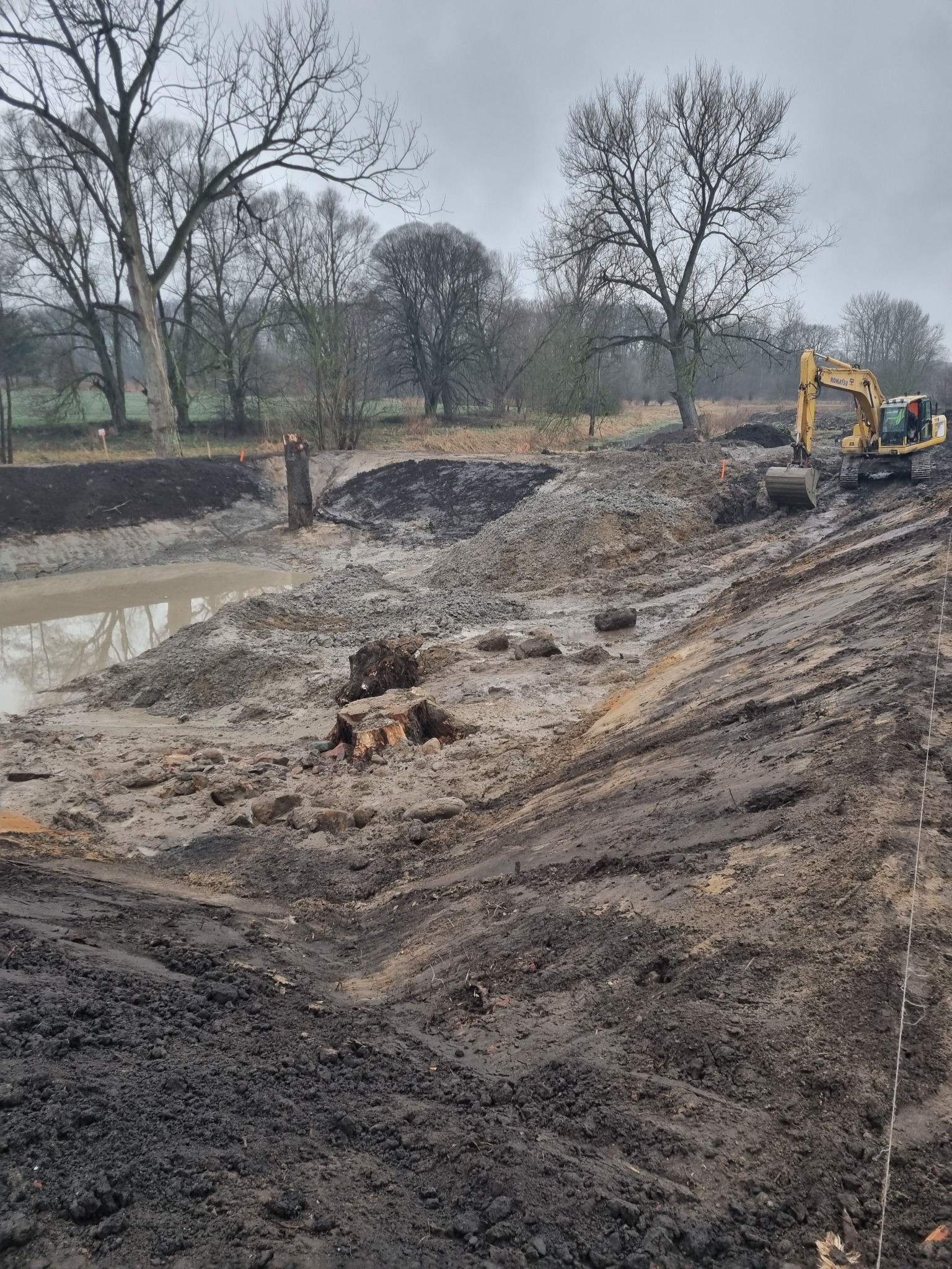 Żółta koparka pracuje nad wykopem stawu w Stargardzie, widok na błotnisty teren z powalonymi pniami drzew w tle, pochmurne niebo.